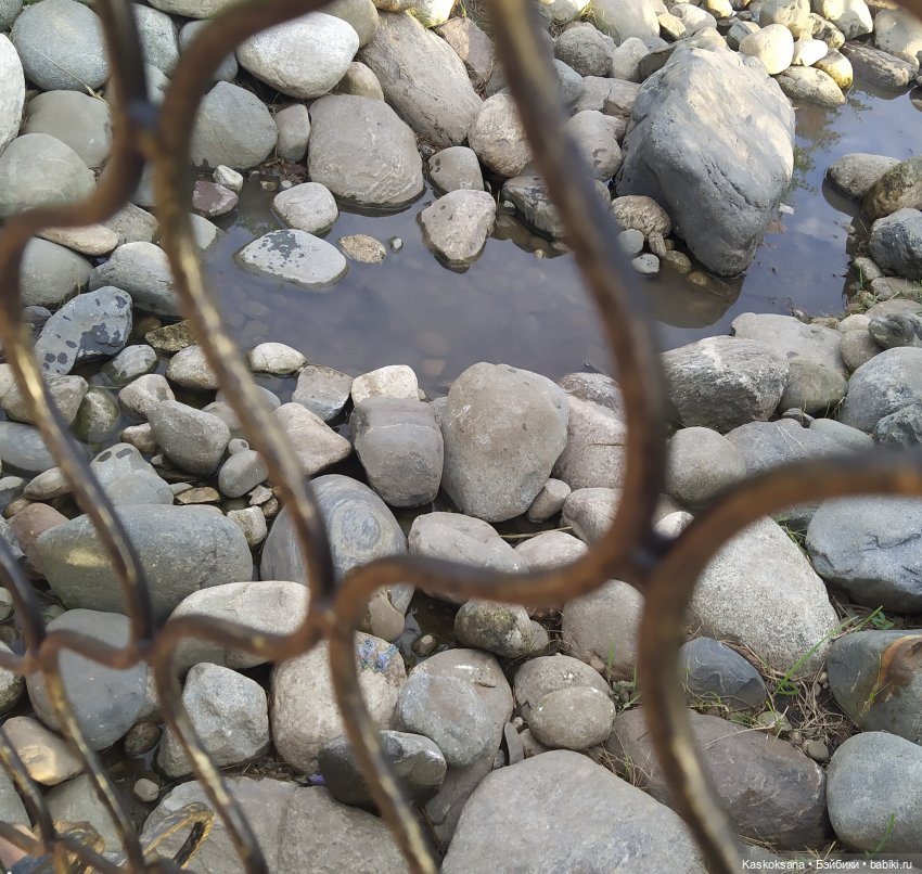 Свадебный вечер Микаэлы и Артура (фото 5)