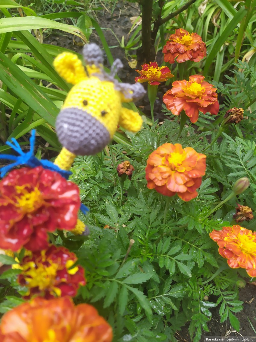 Неподражаемый Гоша — Домашние фото авторских игрушек: Тедди (фото 9)