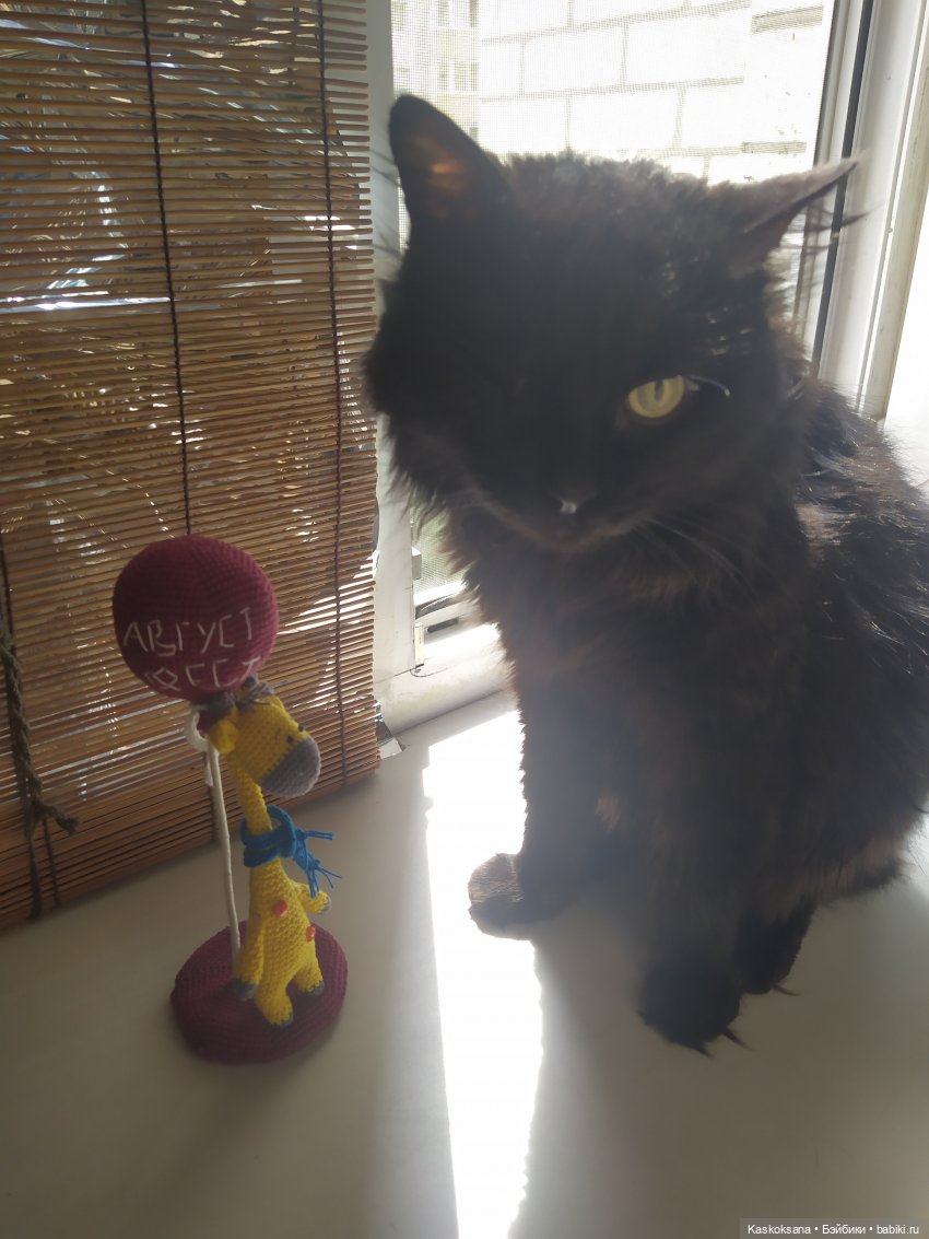 Неподражаемый Гоша — Домашние фото авторских игрушек: Тедди