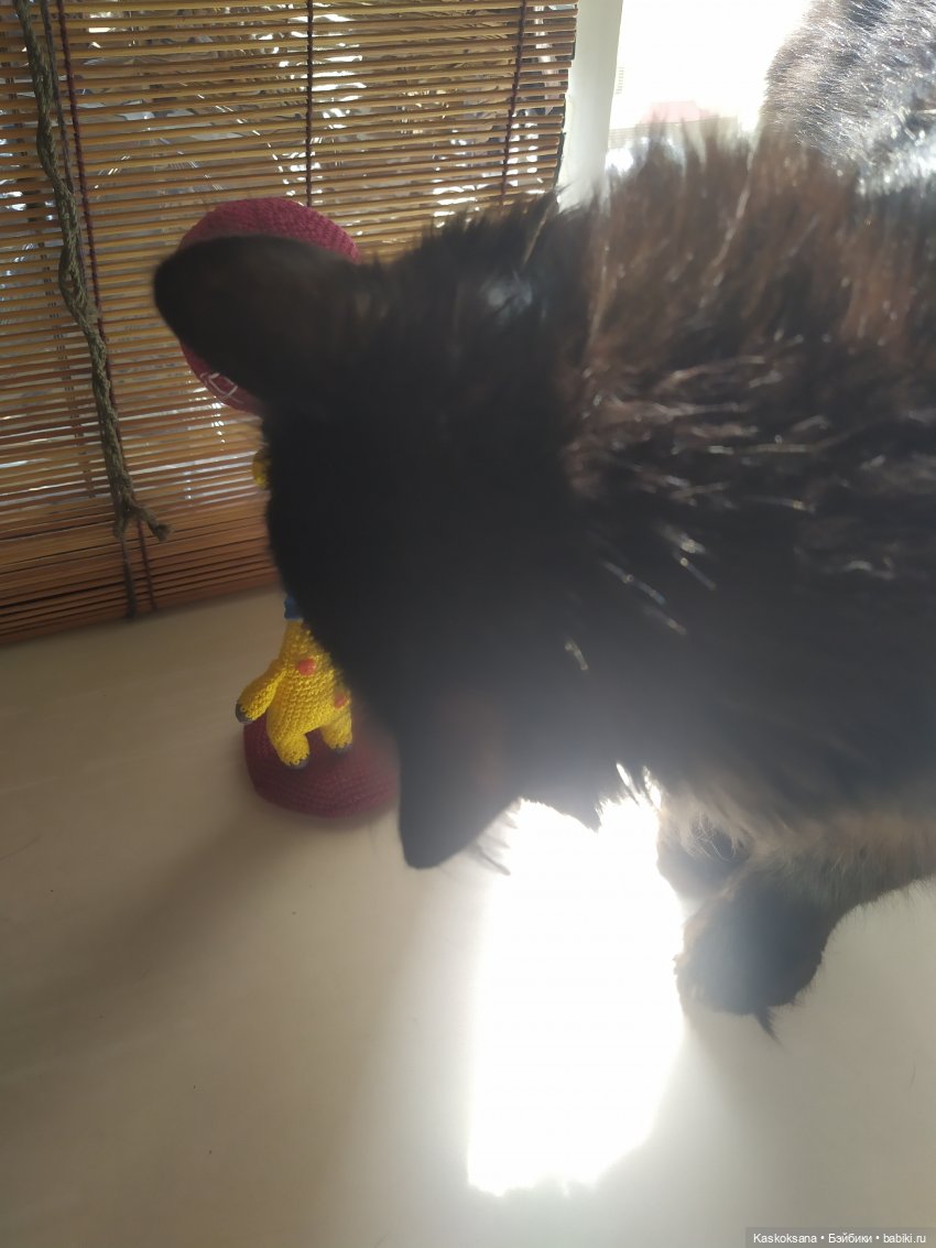 Неподражаемый Гоша — Домашние фото авторских игрушек: Тедди