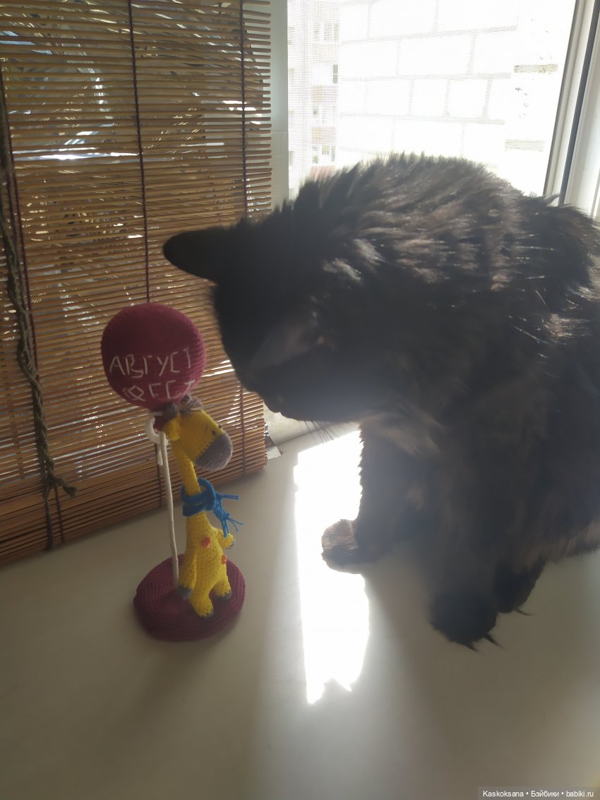 Неподражаемый Гоша — Домашние фото авторских игрушек: Тедди