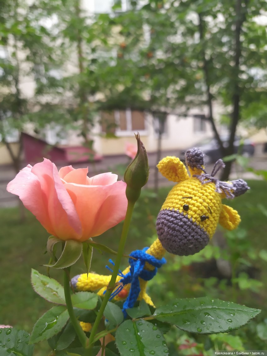 Неподражаемый Гоша — Домашние фото авторских игрушек: Тедди (фото 7)