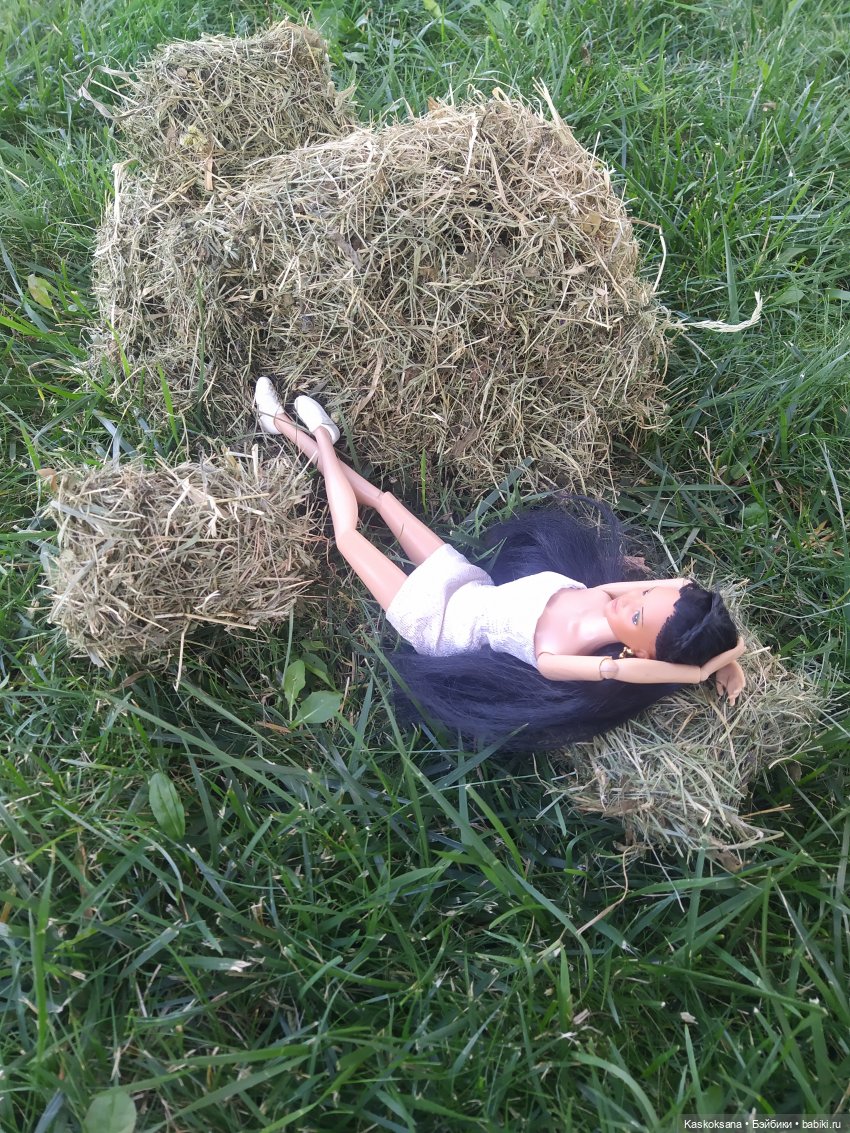 Сладкий день в Привольном