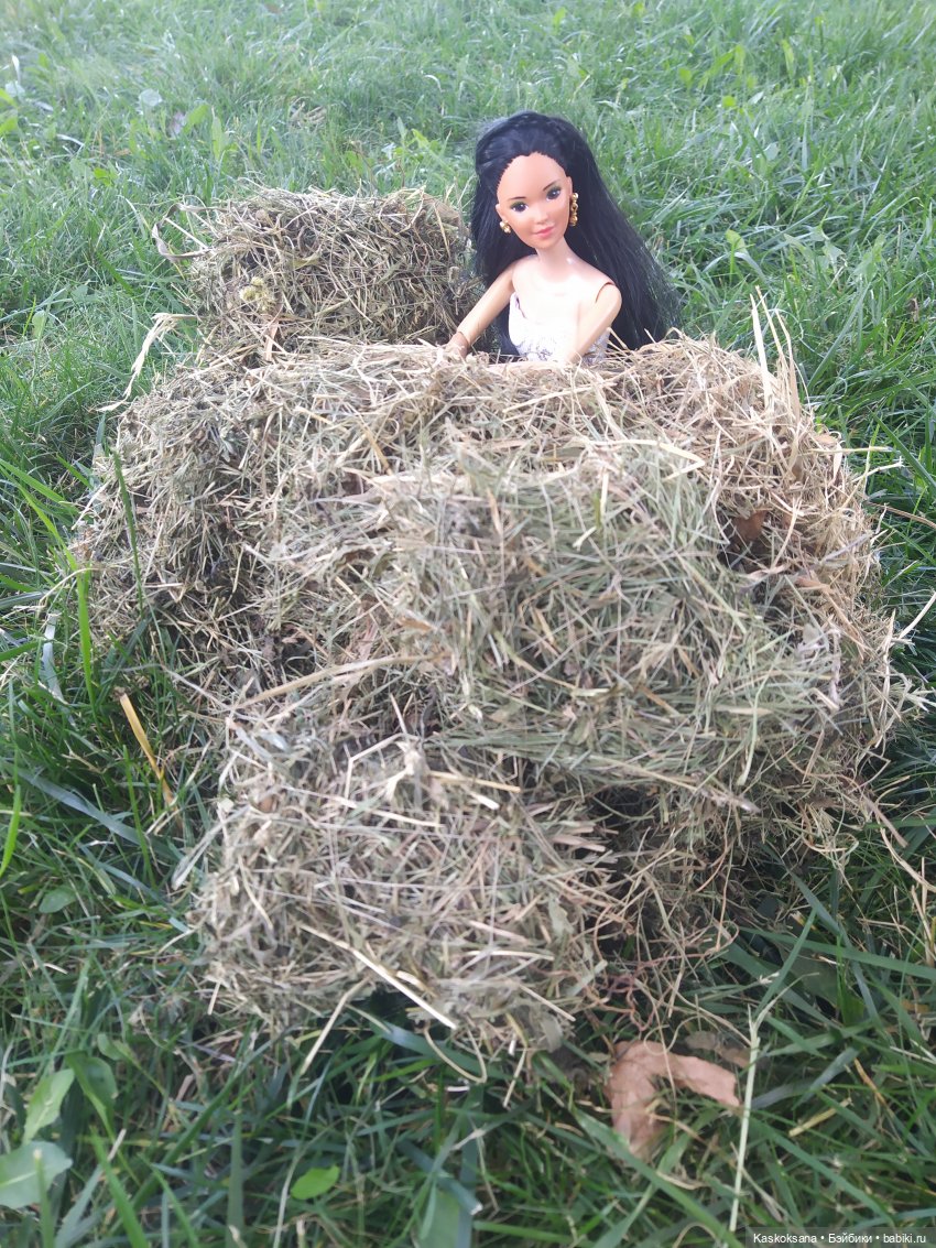 Сладкий день в Привольном