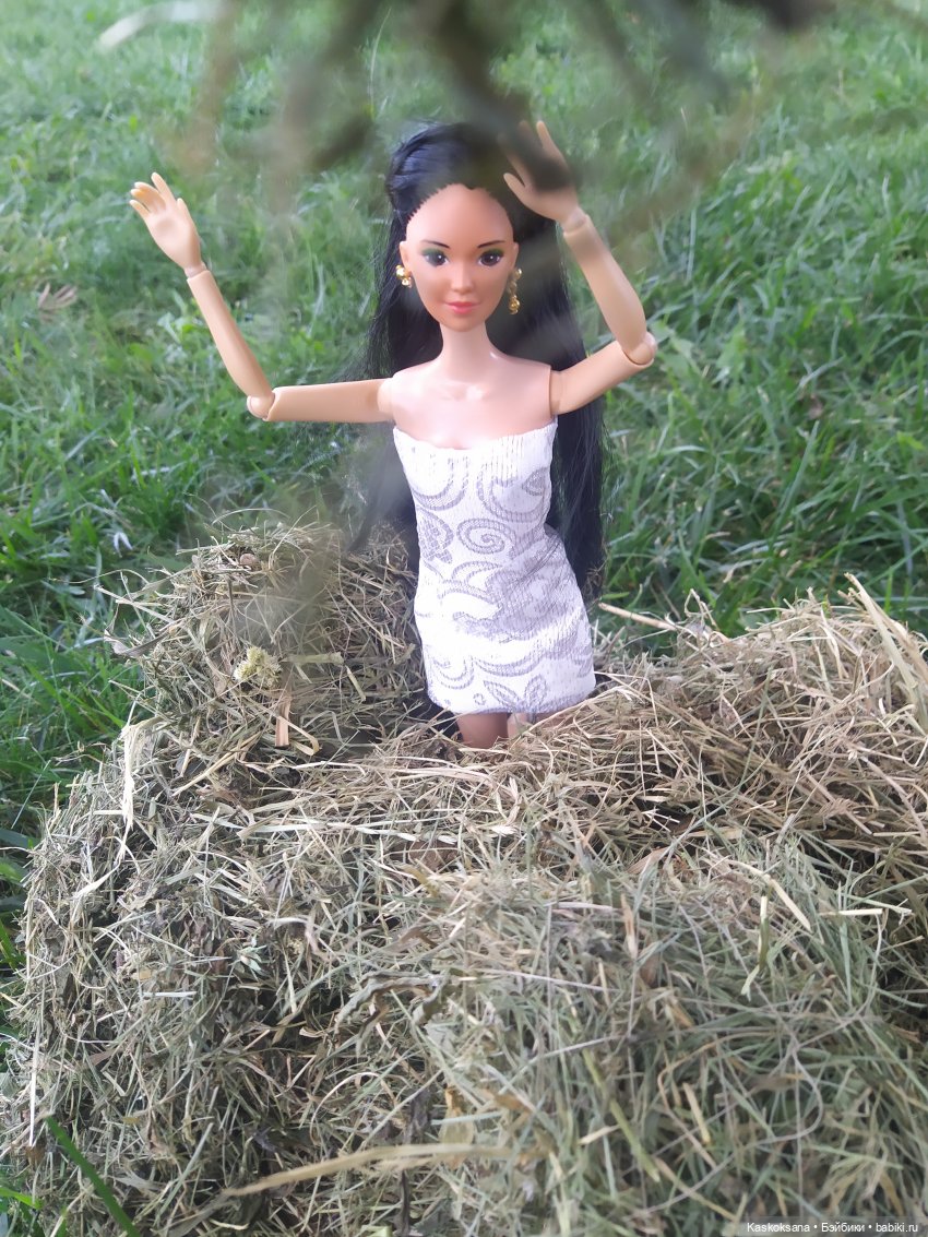 Сладкий день в Привольном