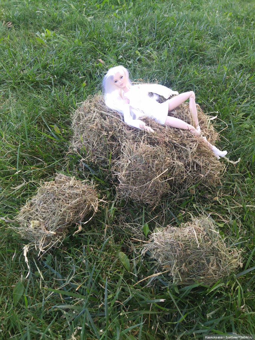 Сладкий день в Привольном