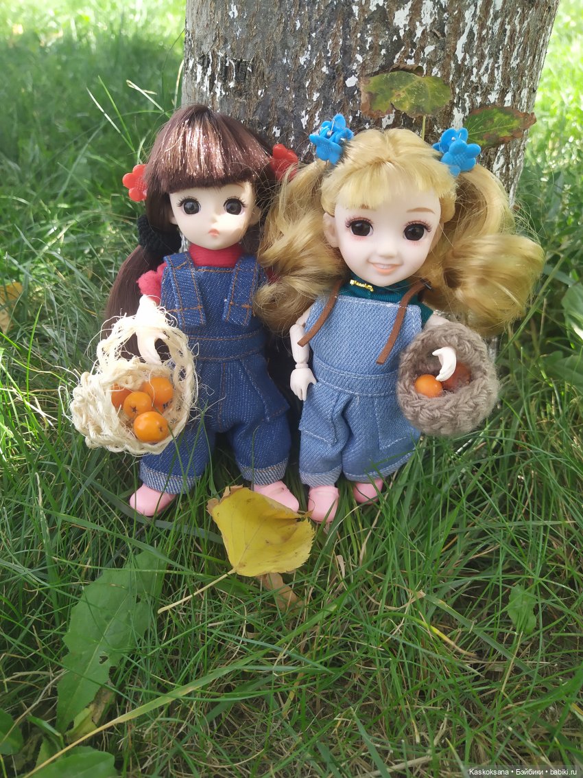 Яська и Аська по прозвищу Неразлейвода (фото 9)