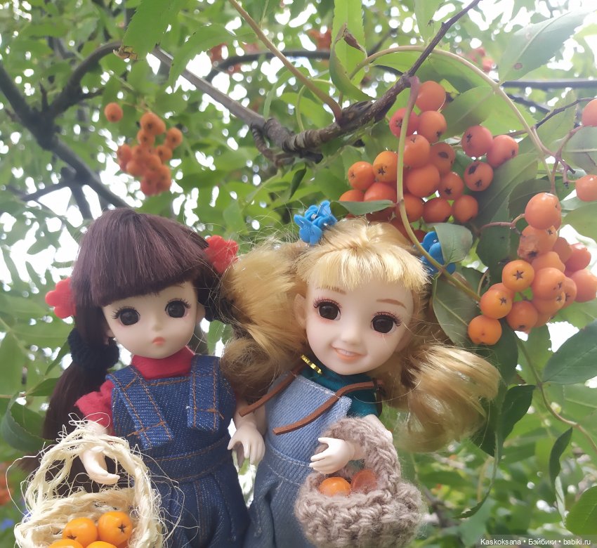 Яська и Аська по прозвищу Неразлейвода