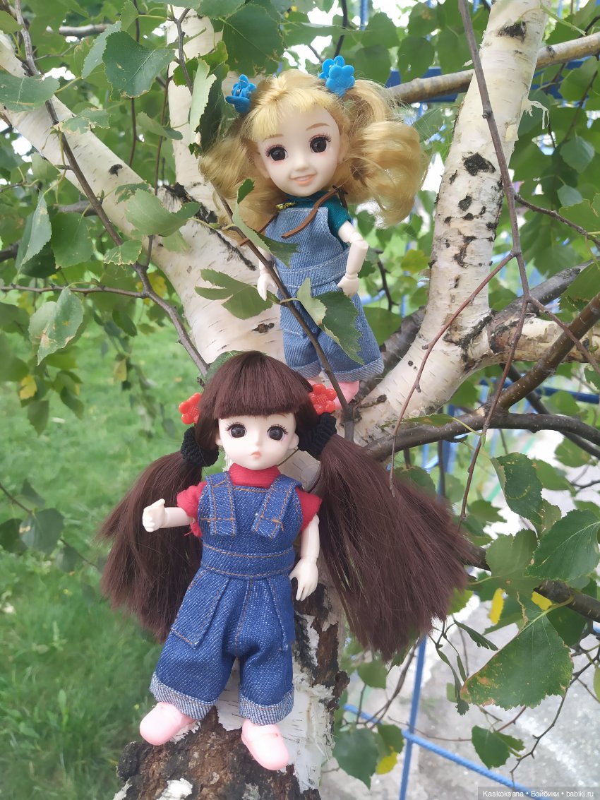 Яська и Аська по прозвищу Неразлейвода (фото 4)