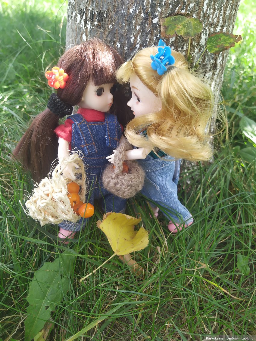 Яська и Аська по прозвищу Неразлейвода (фото 10)