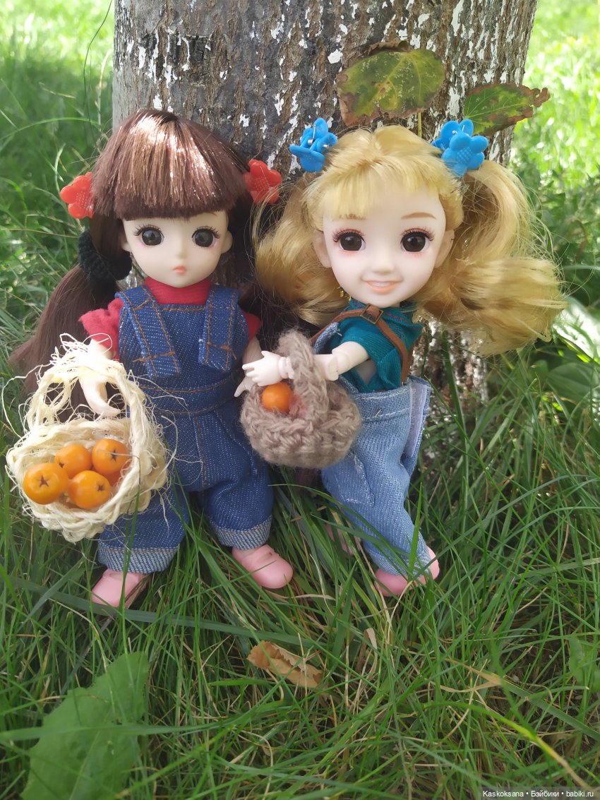 Яська и Аська по прозвищу Неразлейвода