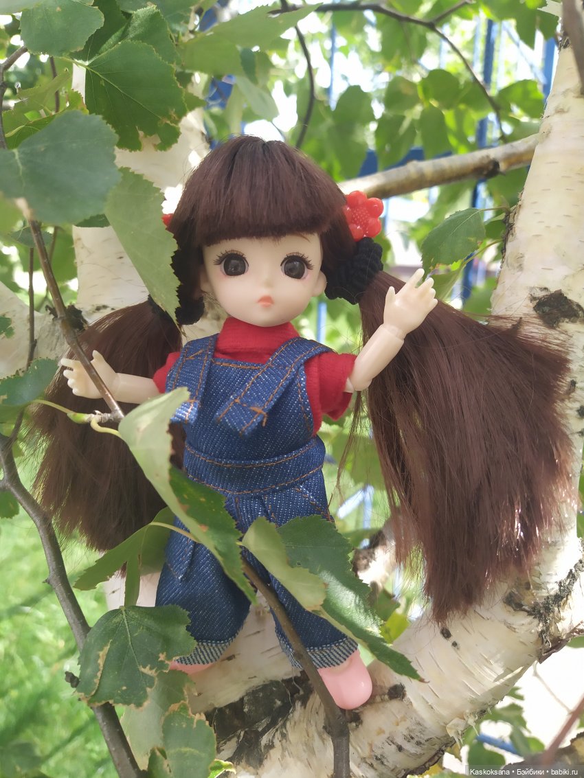 Яська и Аська по прозвищу Неразлейвода (фото 2)