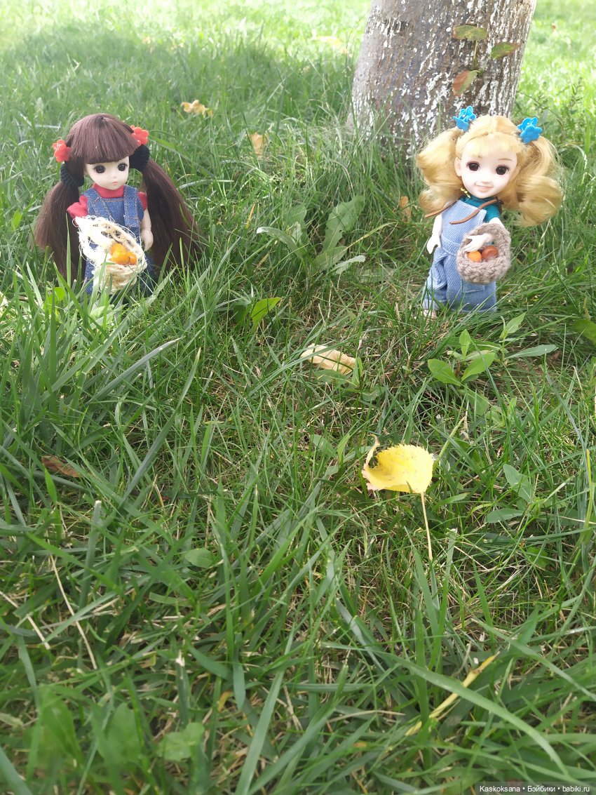 Яська и Аська по прозвищу Неразлейвода (фото 6)