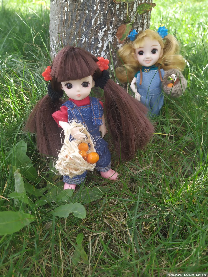 Яська и Аська по прозвищу Неразлейвода (фото 7)