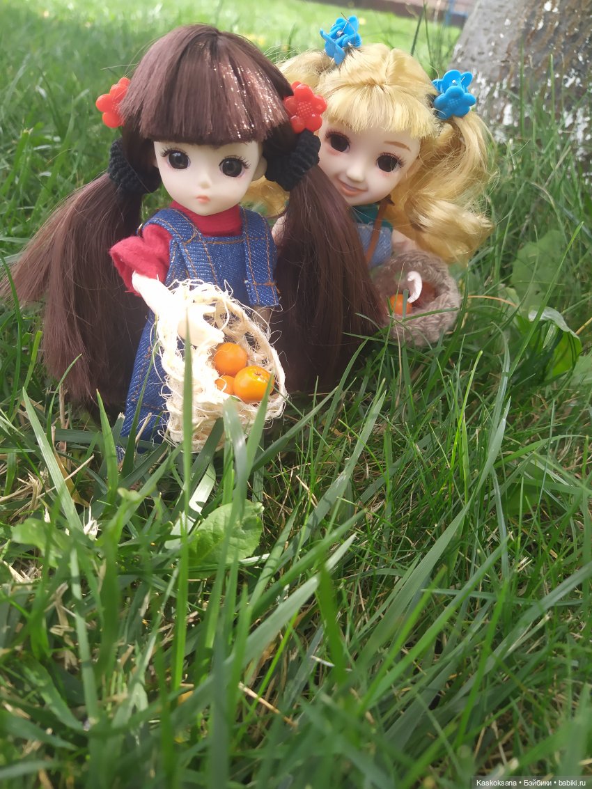 Яська и Аська по прозвищу Неразлейвода (фото 8)