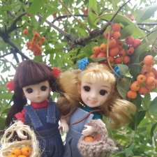 Яська и Аська по прозвищу Неразлейвода