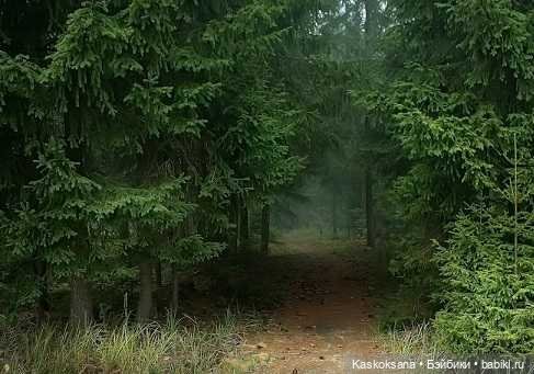 Истории Ближнего Средиземья. На Восточных кордонах 1