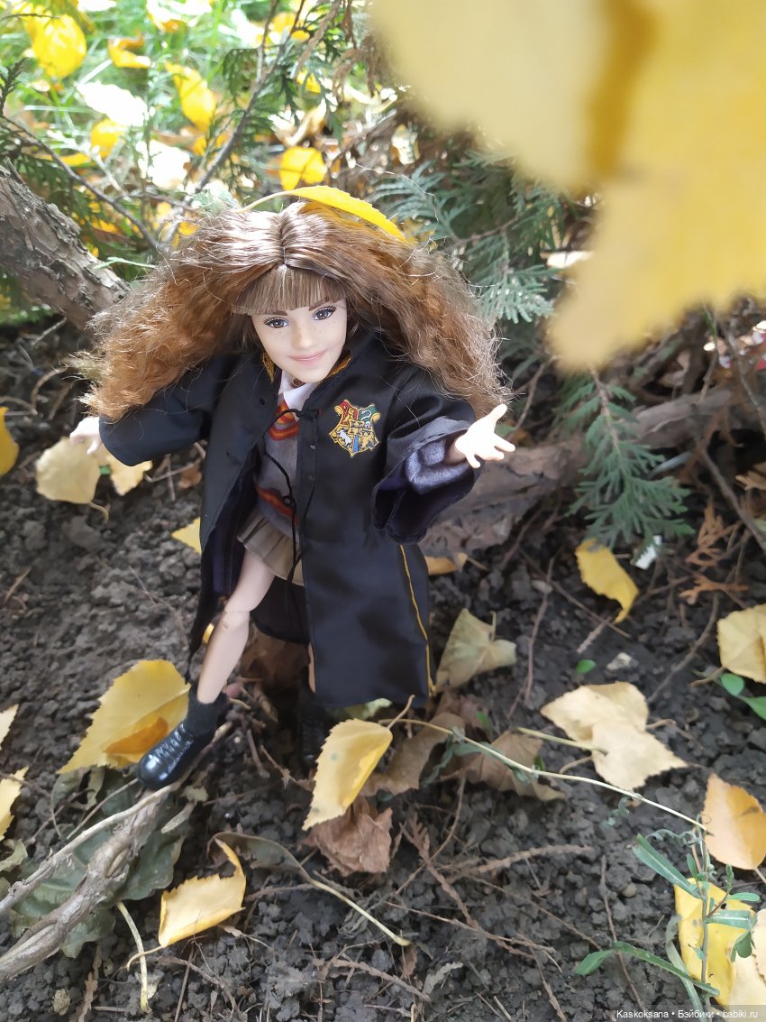 Однажды в Хогвардсе. Листопад (фото 6)