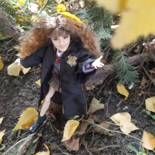 Однажды в Хогвардсе. Листопад