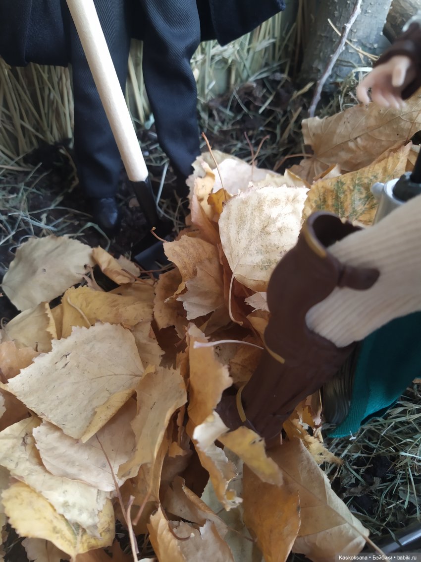 Однажды в Хогвардсе. Листопад