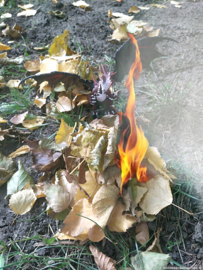 Однажды в Хогвардсе. Время жечь костры (фото 4)