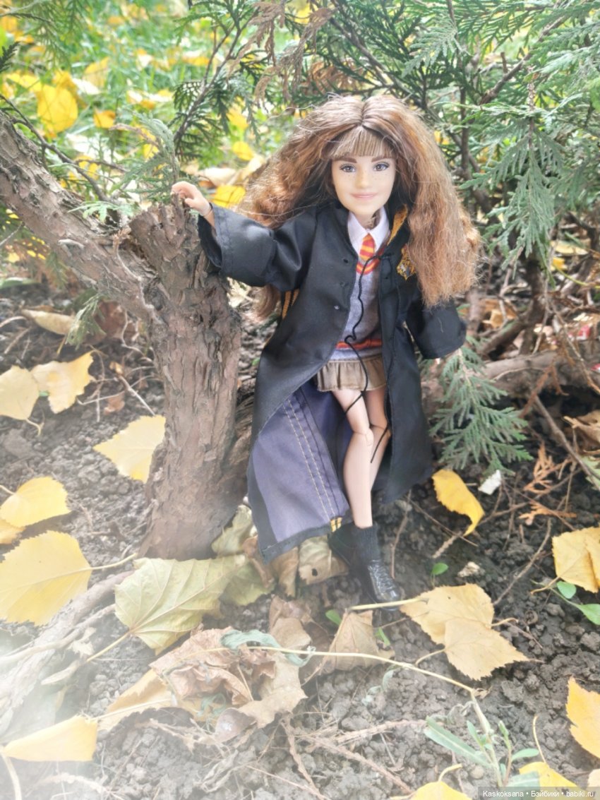 Однажды в Хогвардсе. Время жечь костры (фото 5)