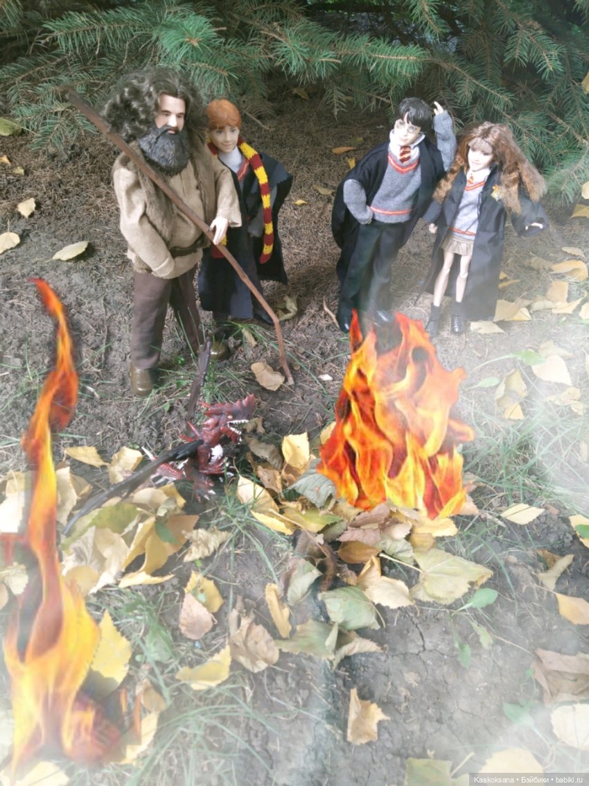 Однажды в Хогвардсе. Время жечь костры (фото 8)