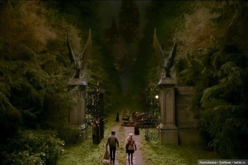 Приглашение в Хогвардс. Сова