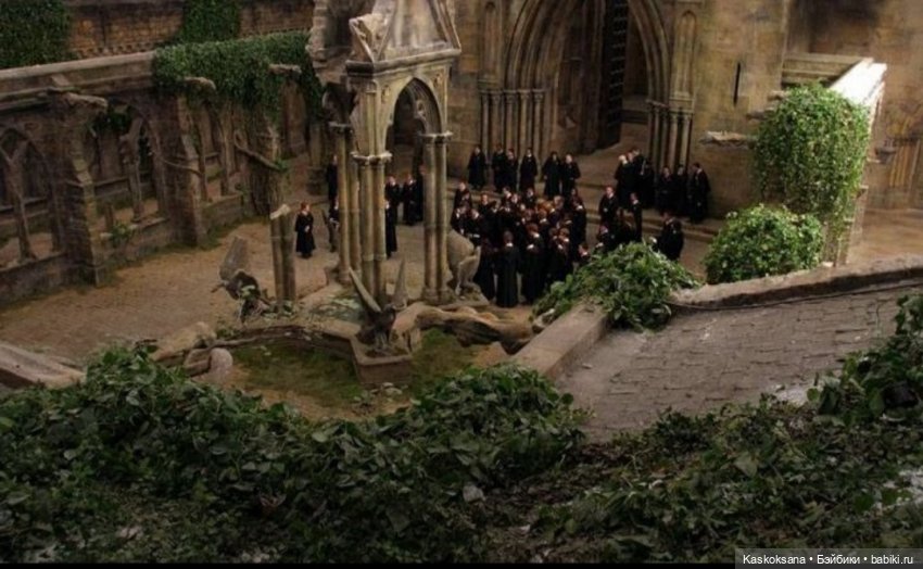 Приглашение в Хогвардс. Сова