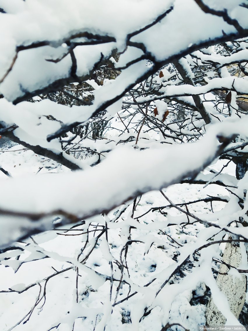 Морозко. 3 серия — Кукольные фотоистории и сериалы: комиксы