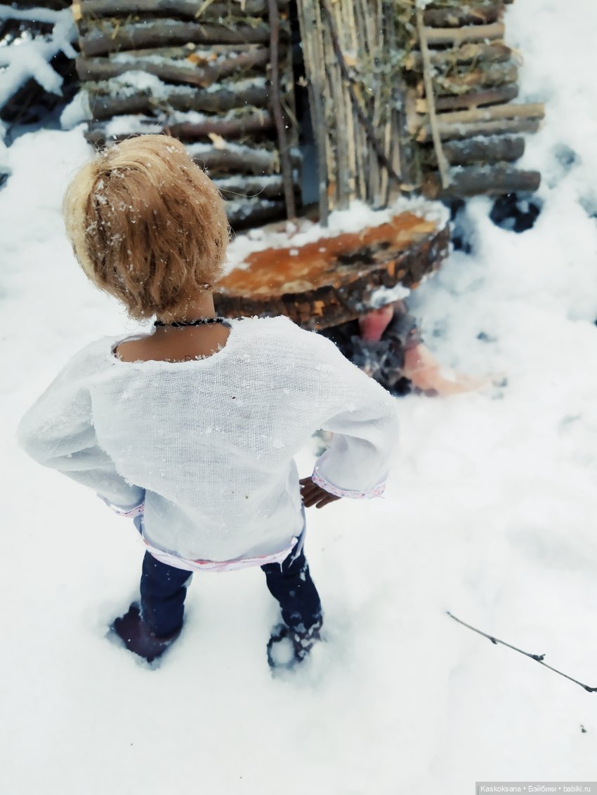 Морозко. 3 серия — Кукольные фотоистории и сериалы: комиксы