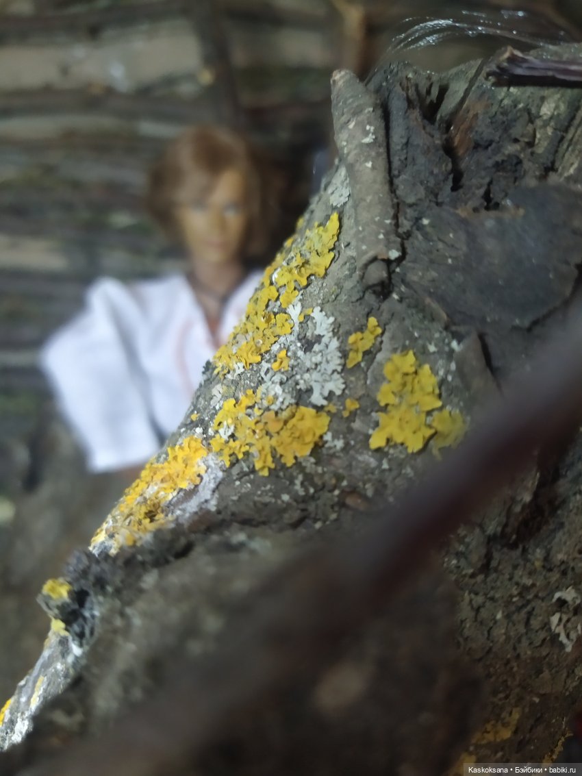 Морозко. 3 серия — Кукольные фотоистории и сериалы: комиксы