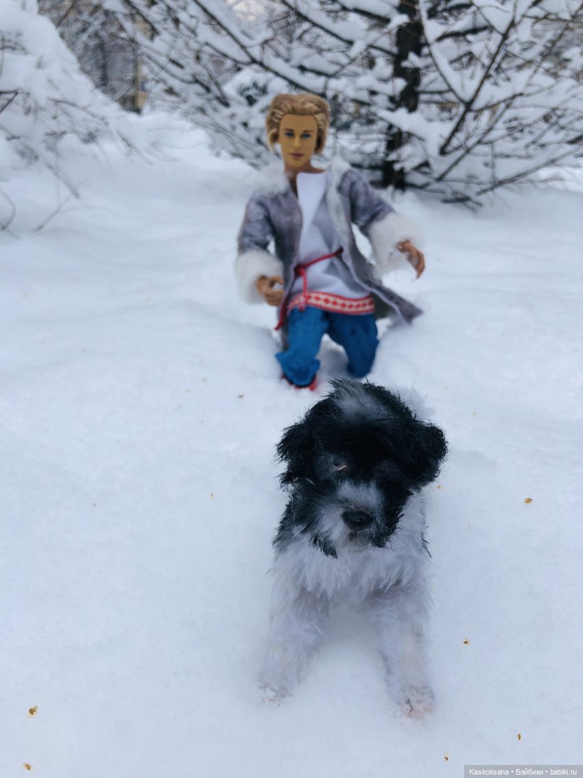 Морозко. 4 серия — Кукольные фотоистории и сериалы: комиксы