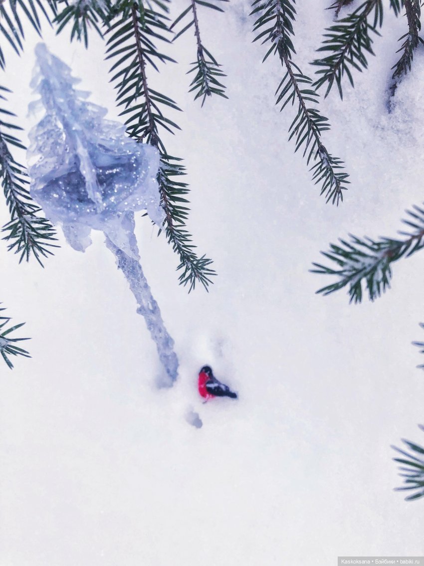 Морозко. 3 серия — Кукольные фотоистории и сериалы: комиксы