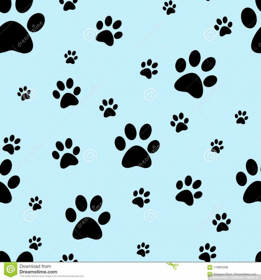 Хищный город: о переносе флешмоба (фото 8)