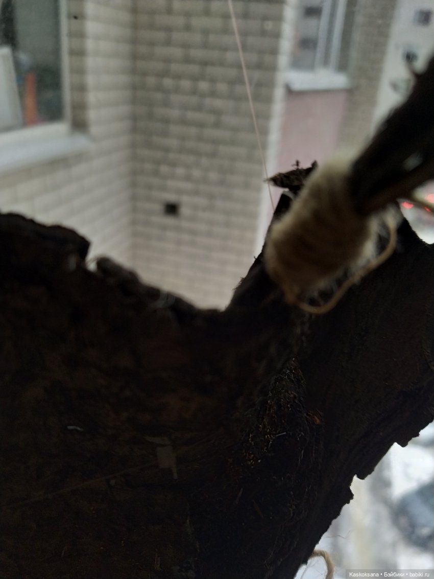 Сказочное закулисье — Мастер