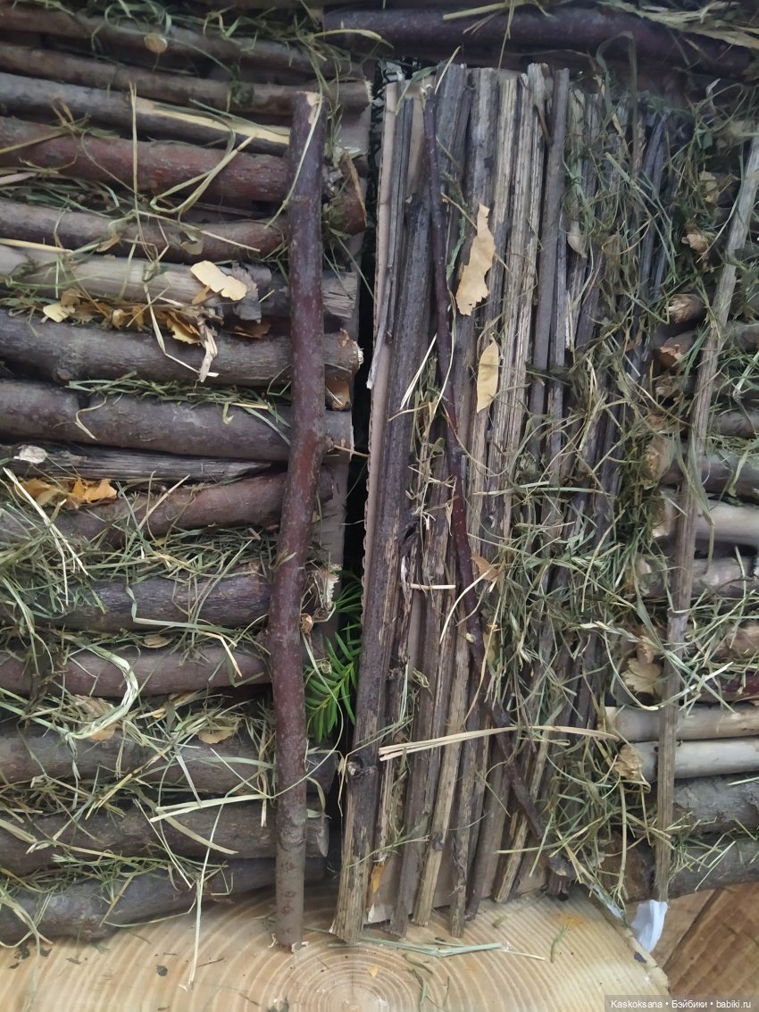 Сказочное закулисье — Мастер