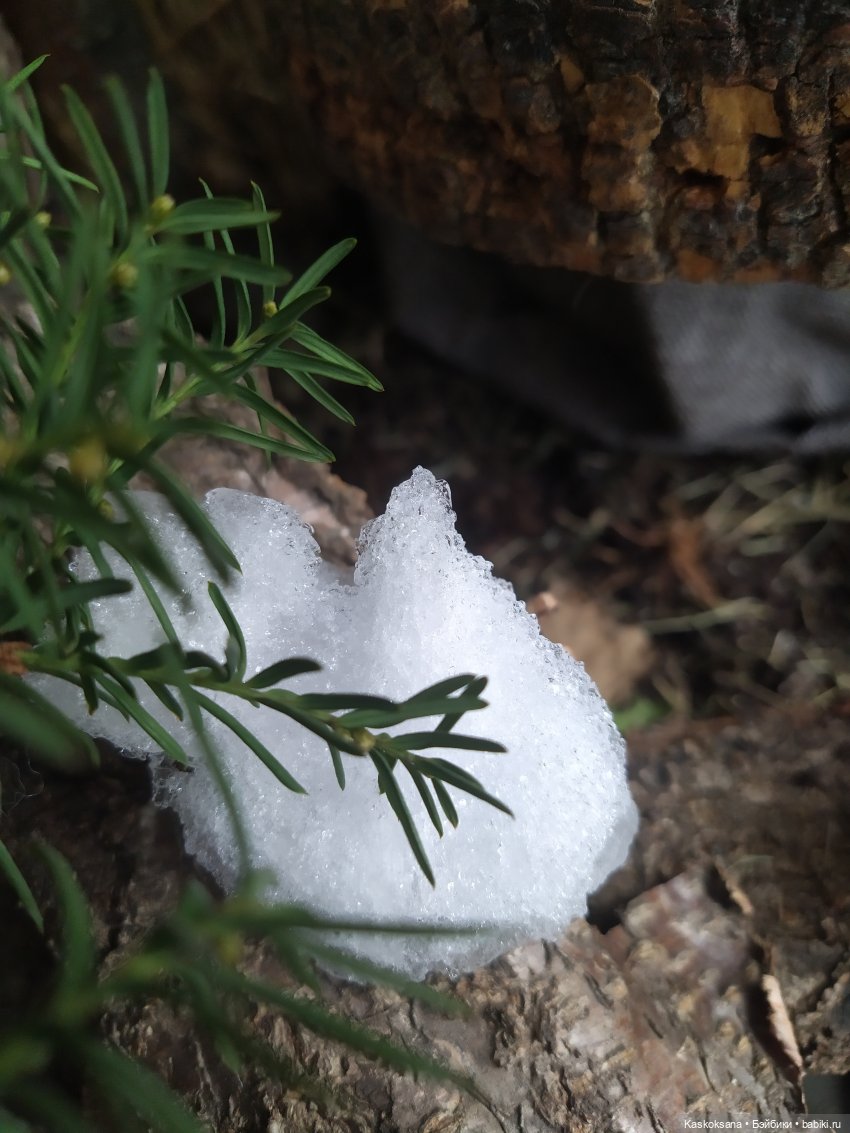 Сказочное закулисье — Мастер