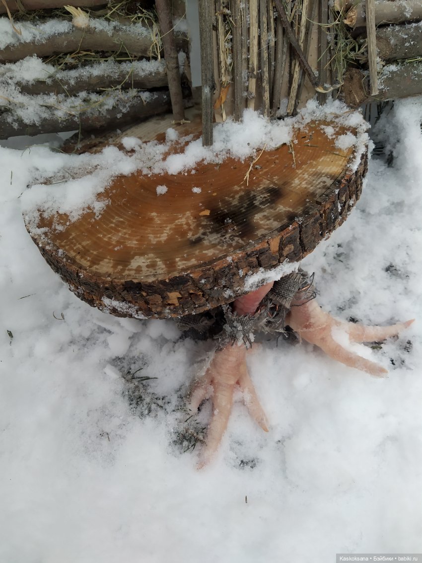 Сказочное закулисье — Мастер