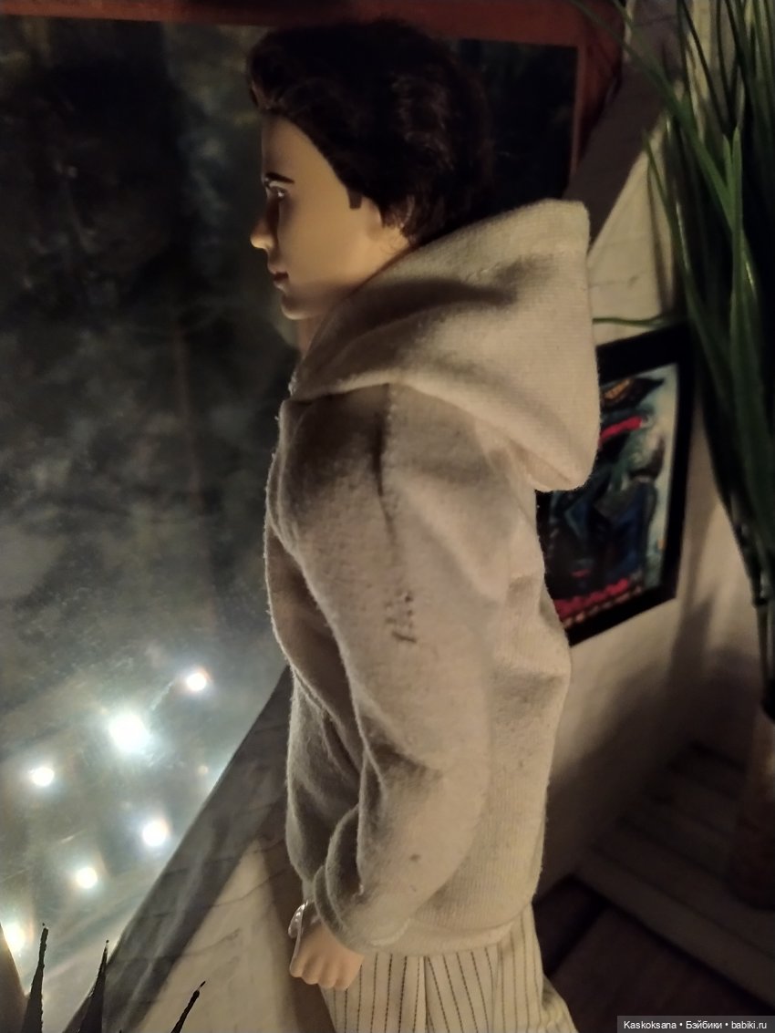 Сумерки. Эпизод 37. Дом — Куклы Barbie (Барби): Looks