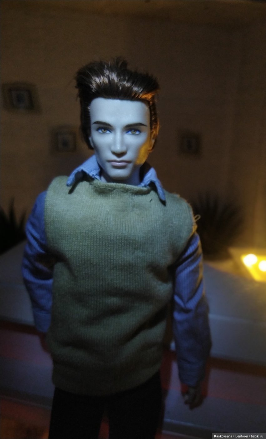 Сумерки. Эпизод 37. Дом — Куклы Barbie (Барби): Looks