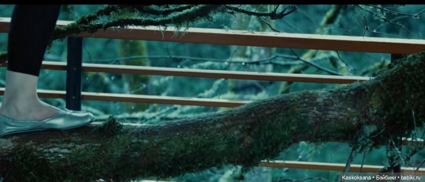 Сумерки. Эпизод 39 . Знакомство | Бэйбики Сумерки. Эпизод 39 . Знакомство