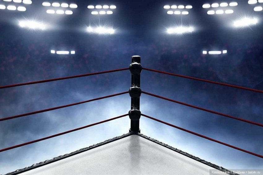 Бои без правил. Бой Первый. Информационный (фото 2)