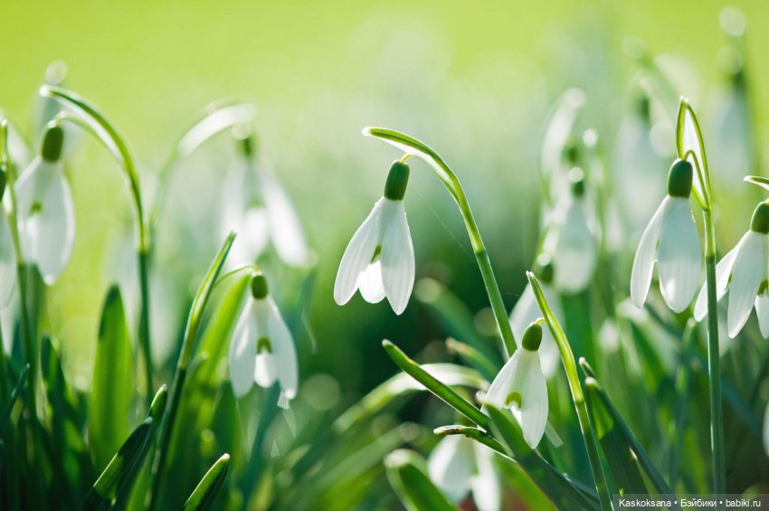 ЧЕТКИЙ МЕН: креативен и красноречив (фото 9)
