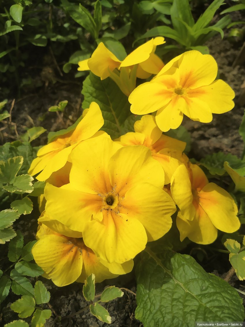 Как Любимчики дежурили по апрелю (фото 5)