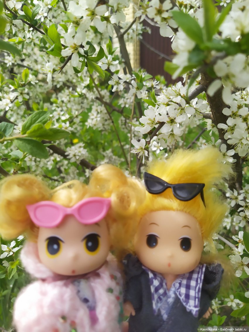 Как Любимчики дежурили по апрелю