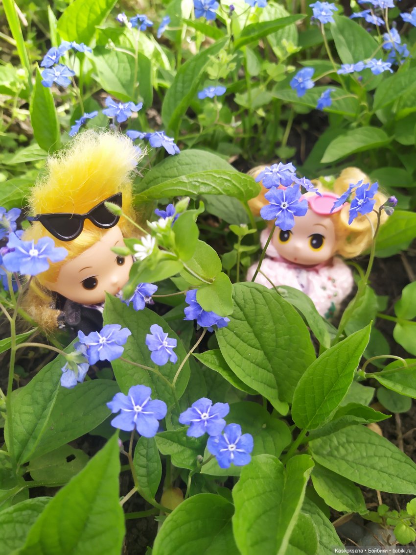 Как Любимчики дежурили по апрелю