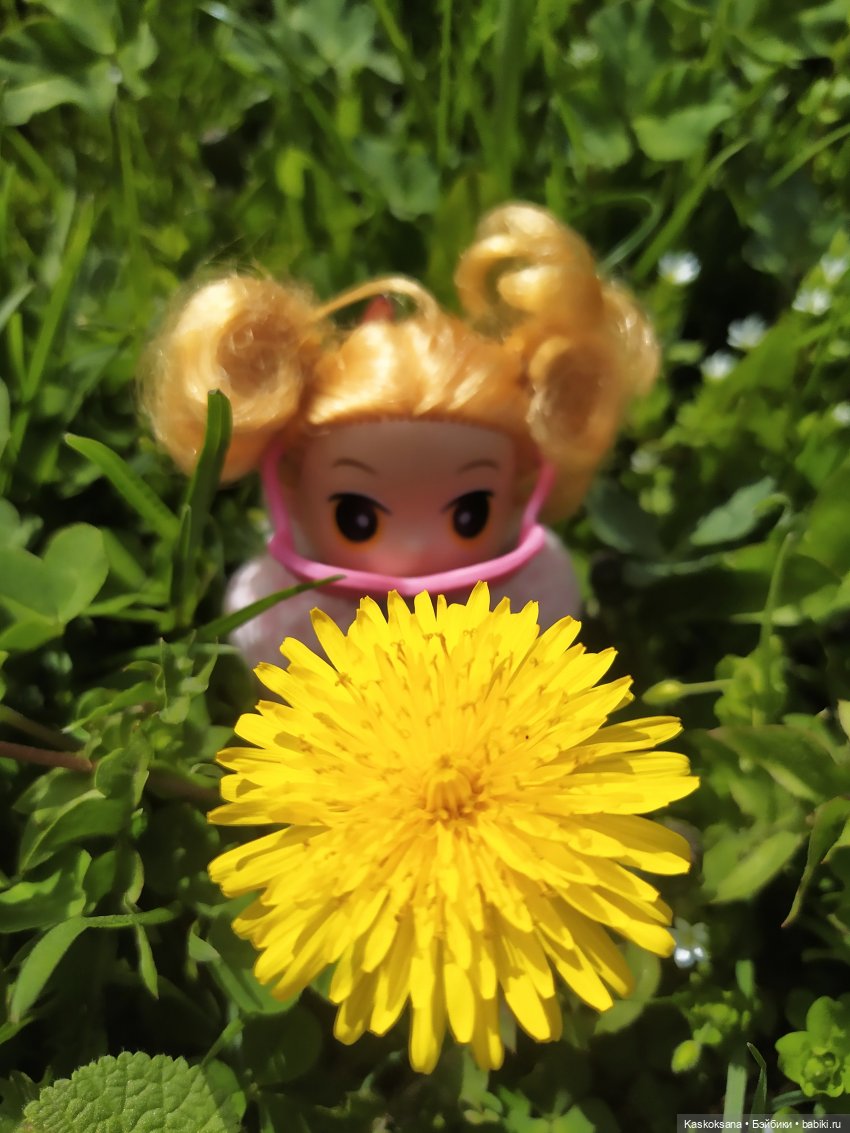 Как Любимчики дежурили по апрелю