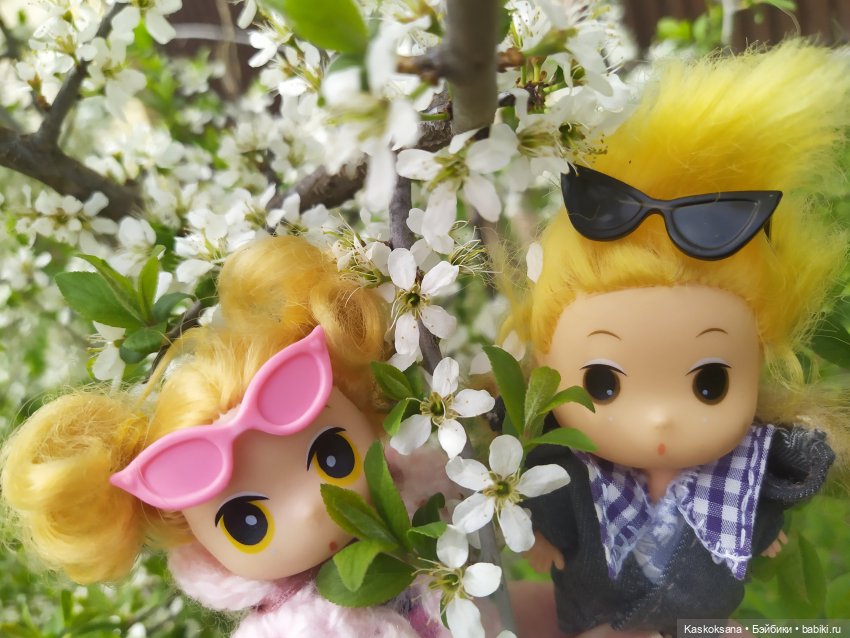 Как Любимчики дежурили по апрелю