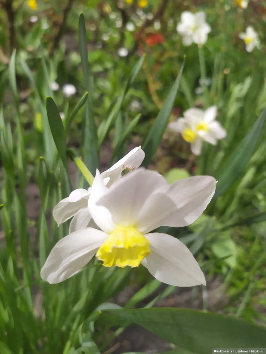 Как Любимчики дежурили по апрелю (фото 3)